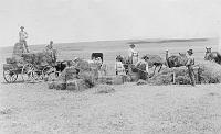  This was taken just north of Clarendon, TX around 1908-10. It was one of the alfalfa field harvests that the Speed famly helped with the harvest and bailing. From left to right are Edward Lewis Speed (standing in wagon), Henry Lewis Speed (seated in driver seat of wagon), Speed sisters sitting in the buggy, and Charles Griffin Speed with the pitch fork feeding the bailer.