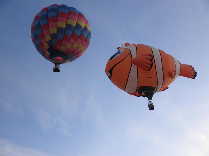 PA100037.JPG